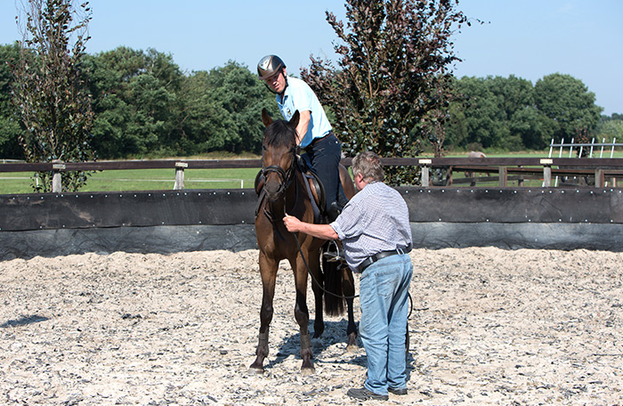 Maashorst Stables - Dressuur