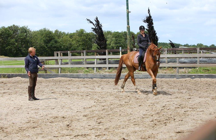 Maashorst Stables - Dressuur